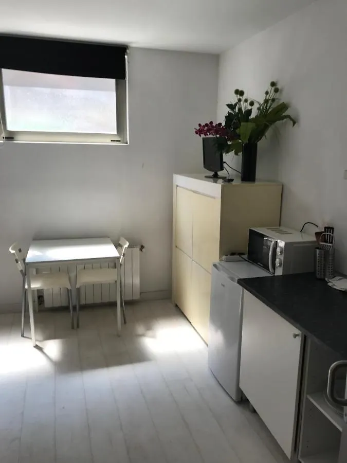 Apartment Room And Kitchen Bilbao Spain